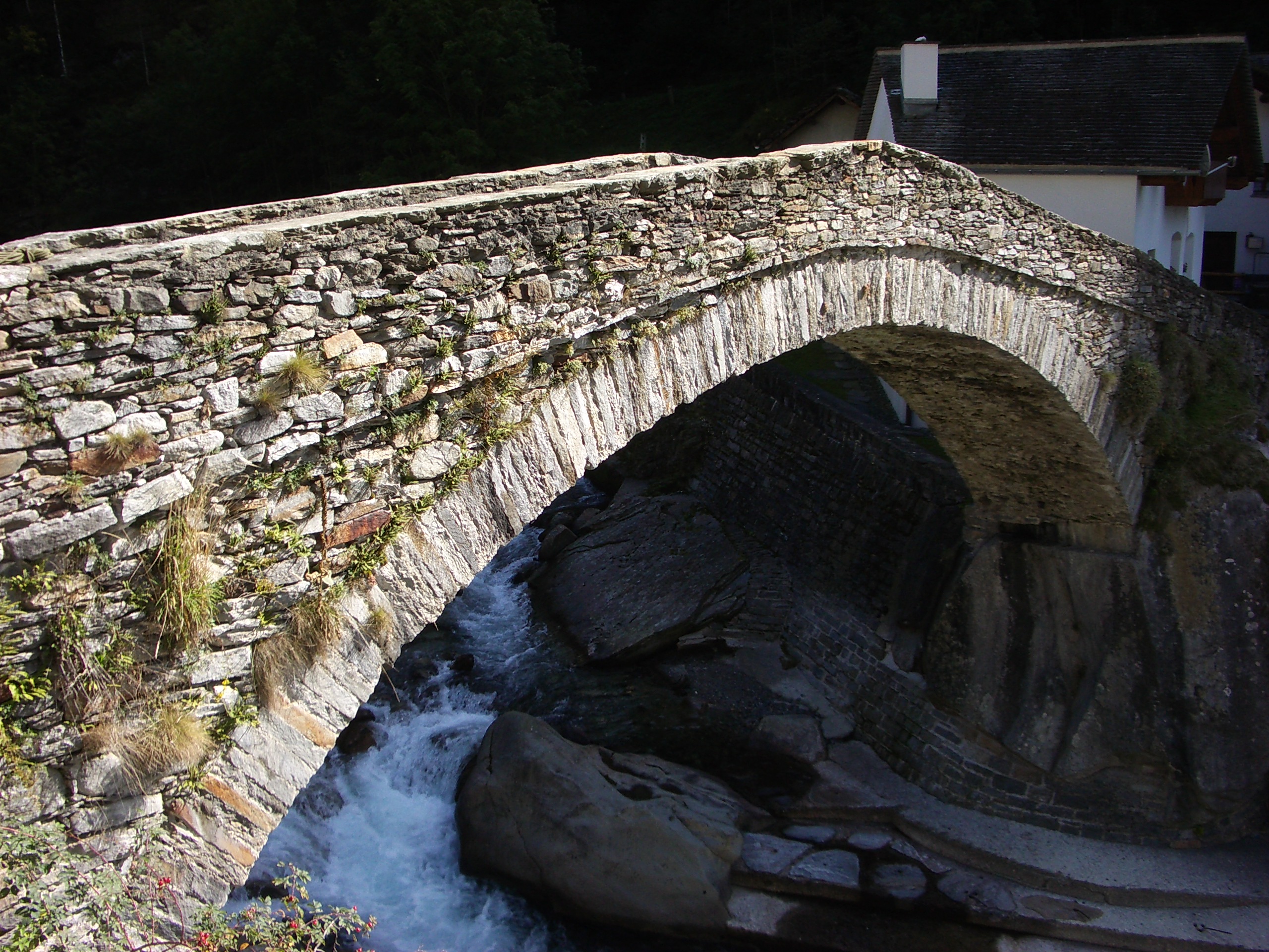 Arvigo ponte amicizia