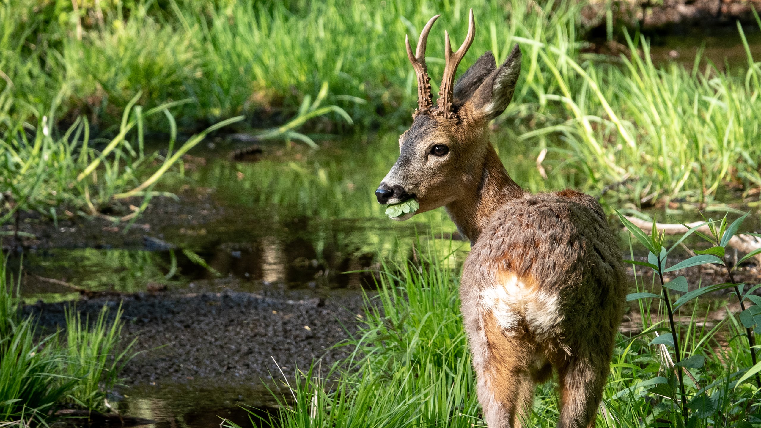 Parco Val Calanca