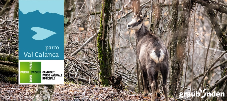 Parco Val Calanca