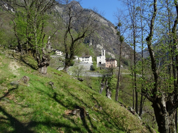 Buseno e le sue selve castanili